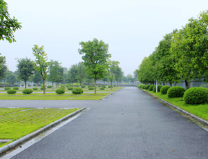 Image 01