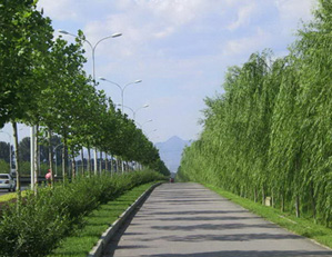 Image 01